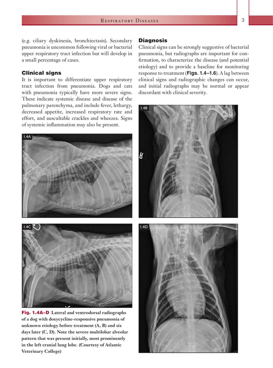Preview page of Infectious Diseases of the Dog and Cat a Color Handbook