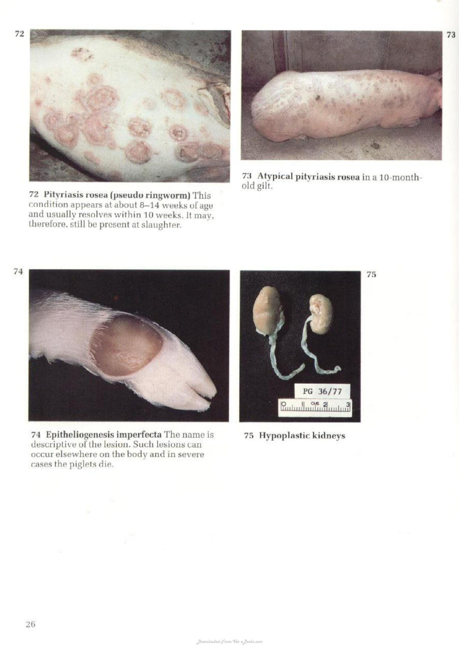 Preview page of A Colour Atlas of Diseases and Disorders of the Pig