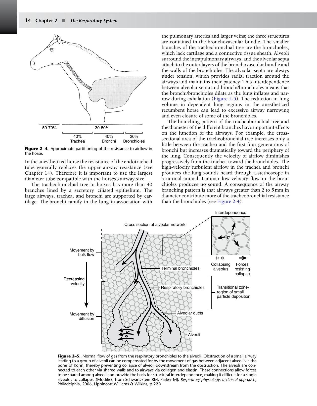 Equine Anesthesia Monitoring And Emergency Therapy