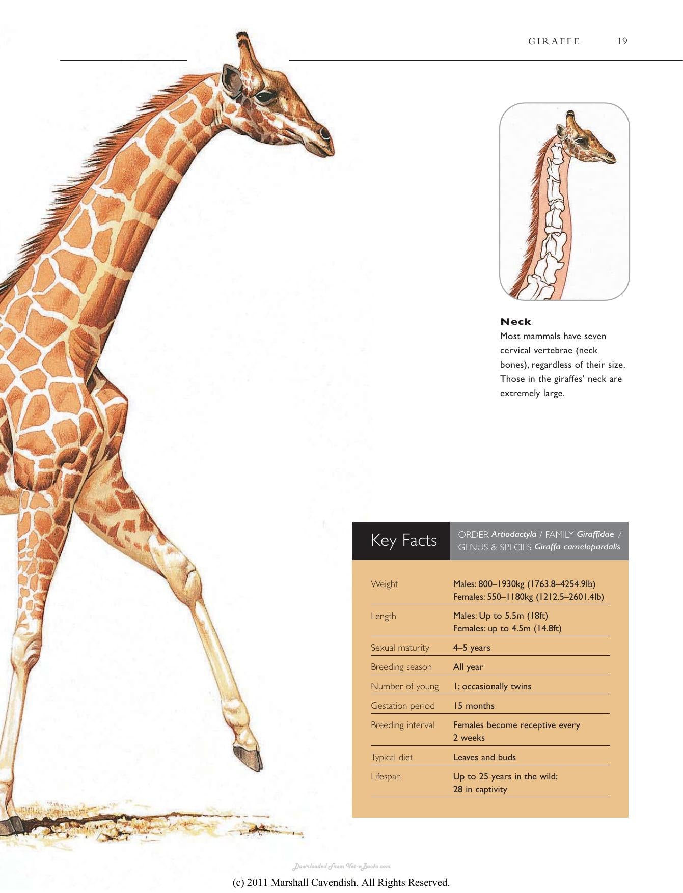 Atlas Of The Worlds Strangest Animals