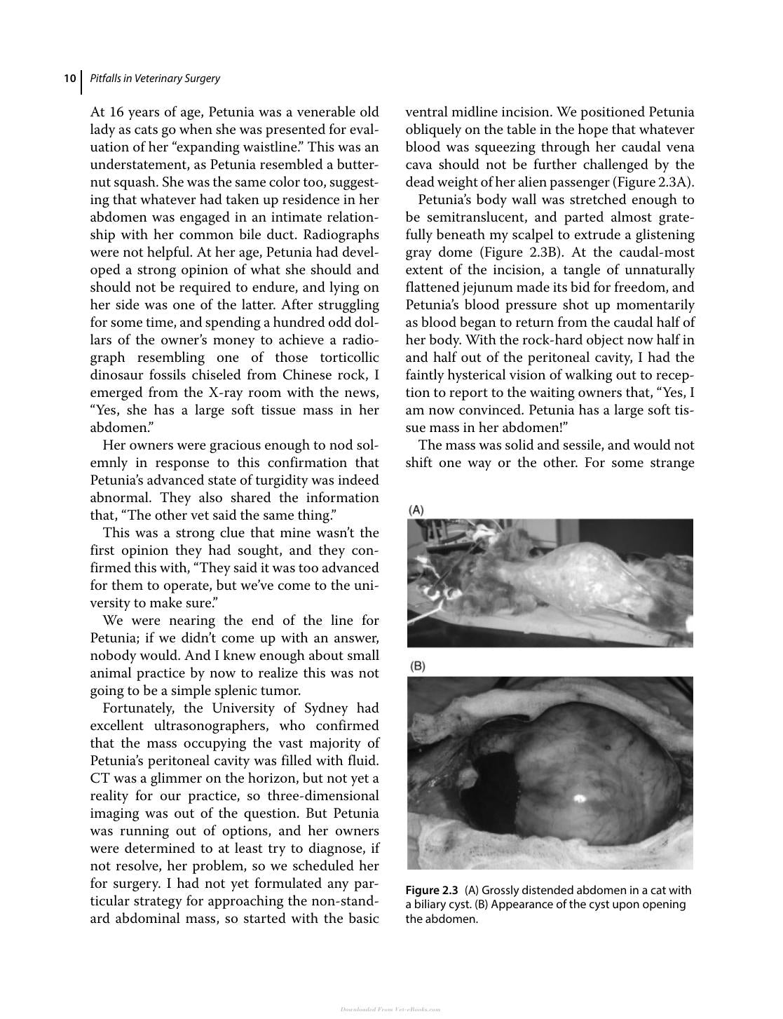 Pitfalls In Veterinary Surgery