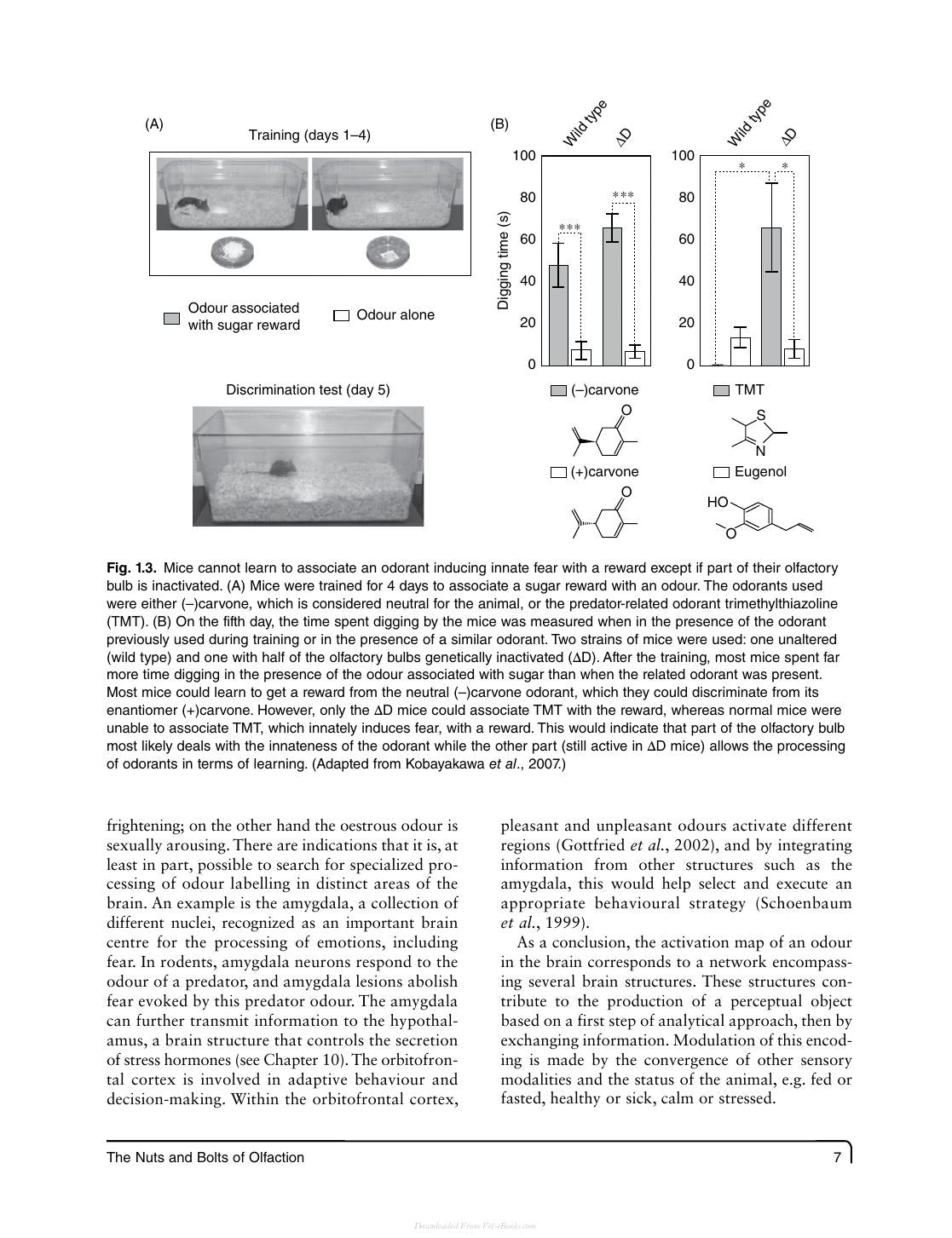 Olfaction In Animal Behaviour And Welfare