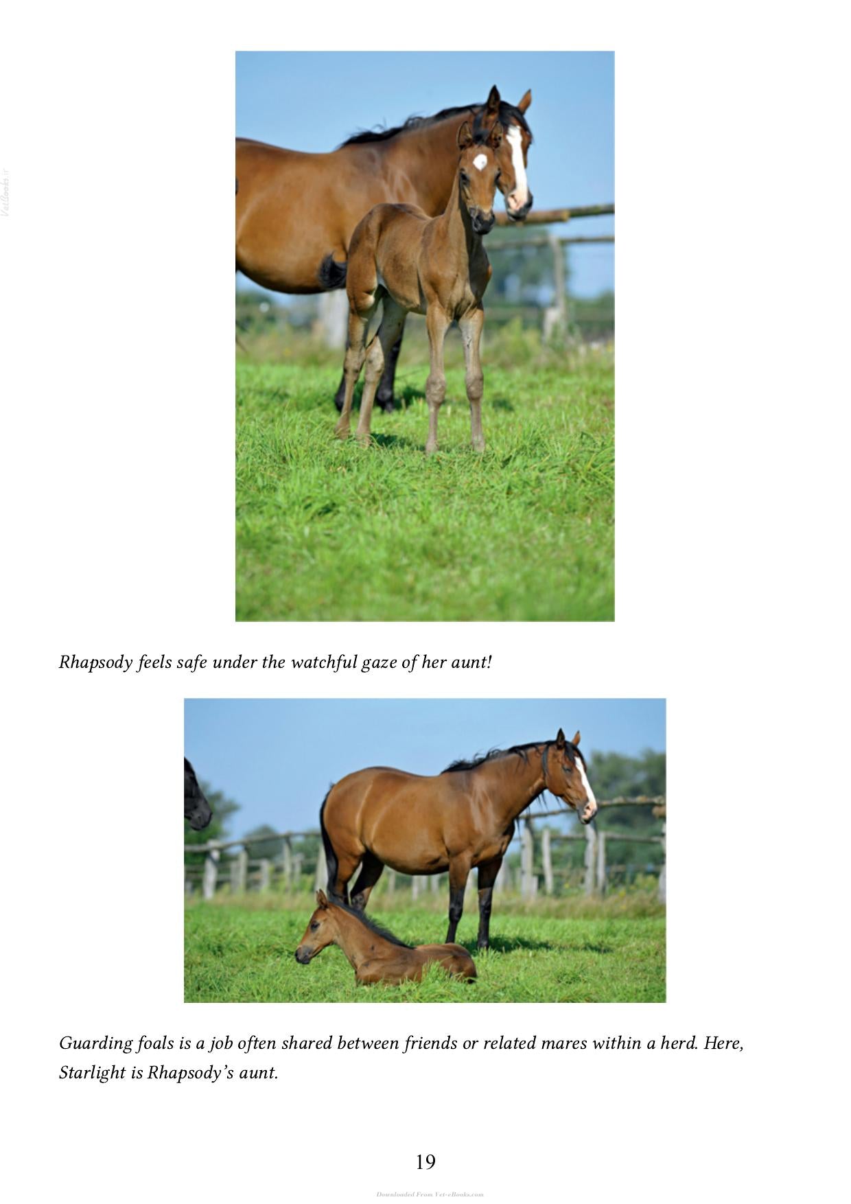 Look inside — page 20