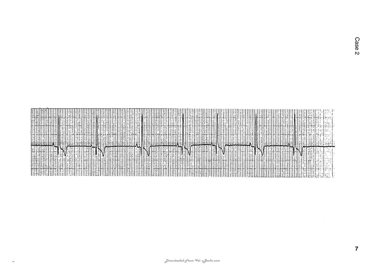 Ecg Interpretation In The Critically Ill Dog And Cat