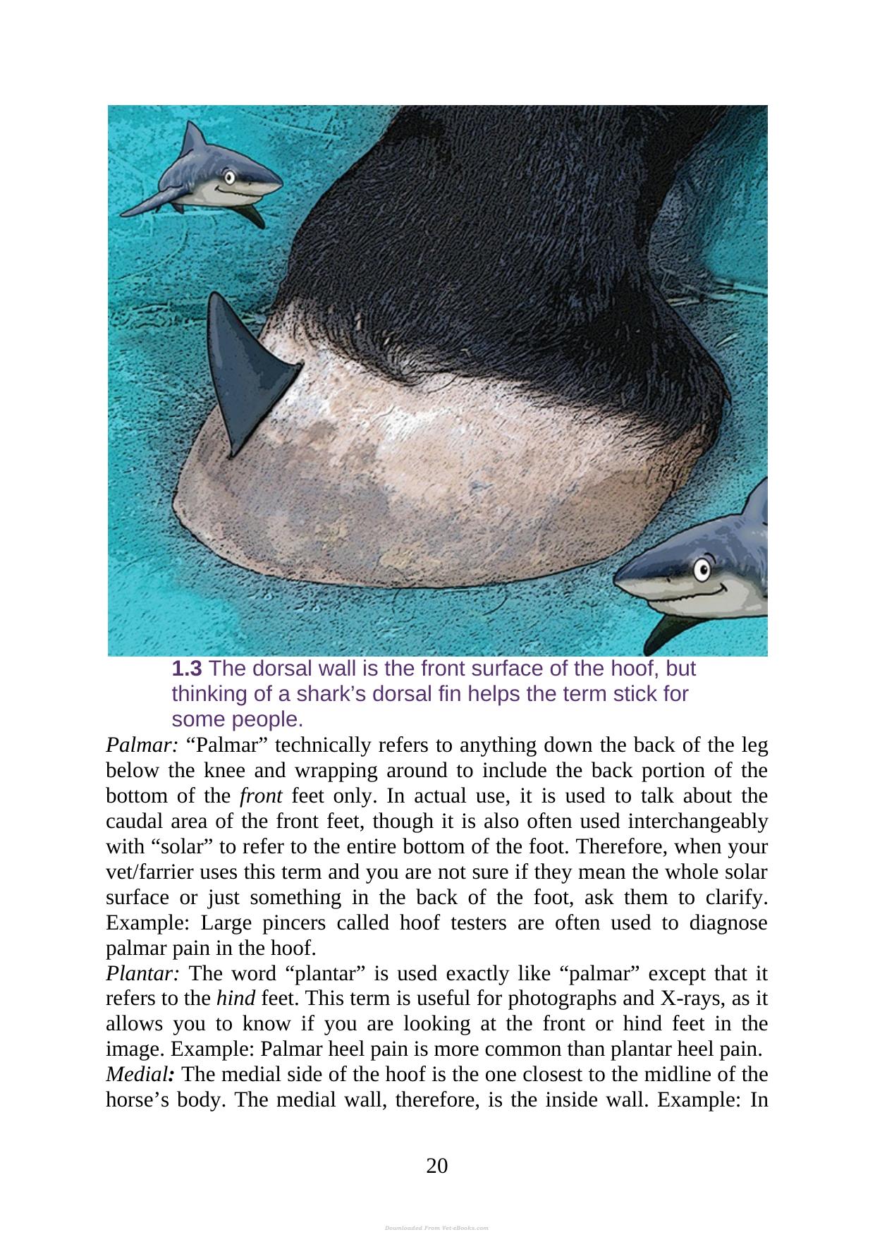 Look inside — page 20