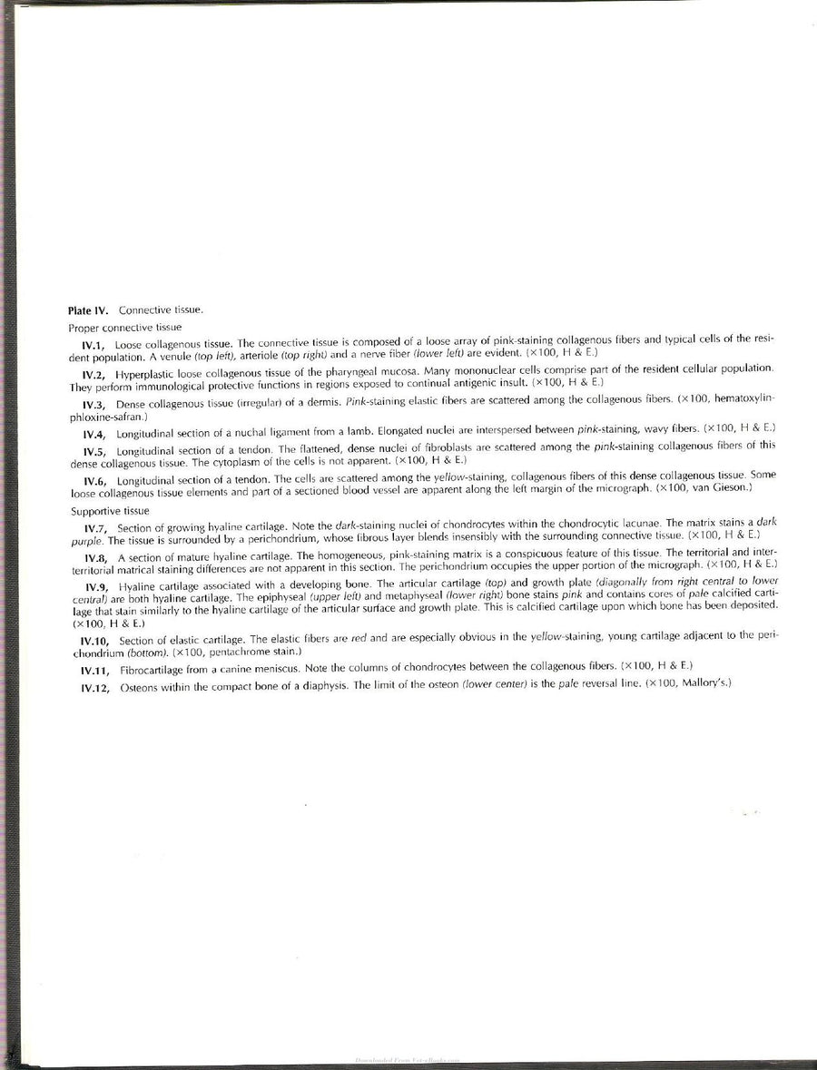 Preview page of Applied Veterinary Histology 3rd Edition