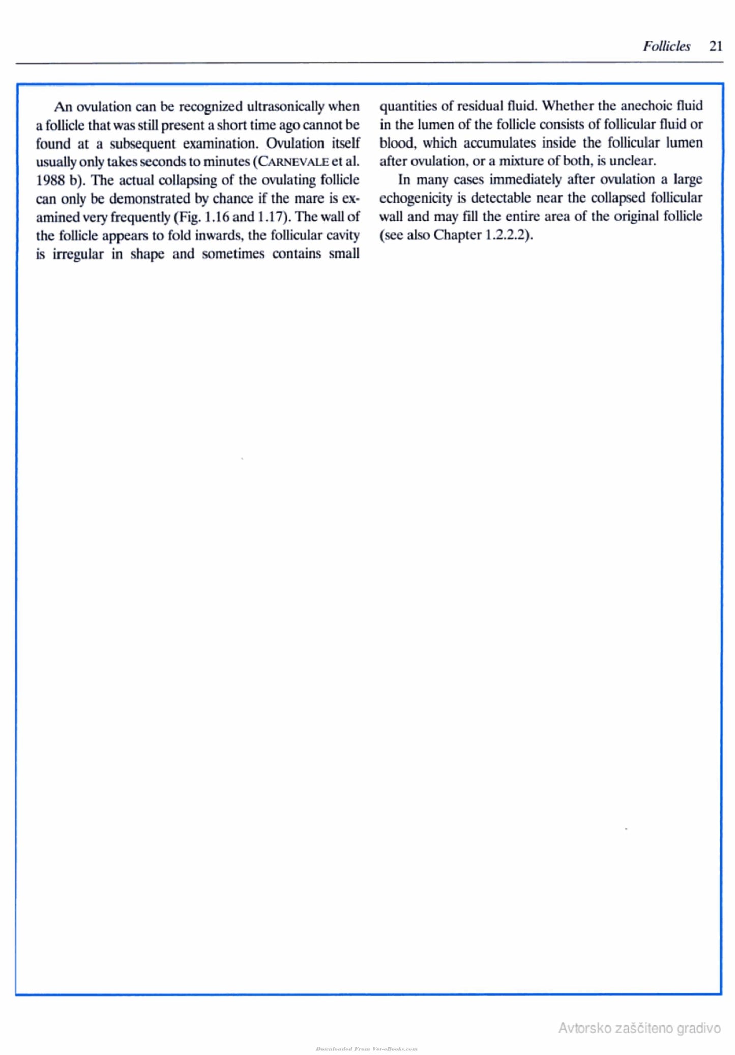 Veterinary Reproductive Ultrasonography