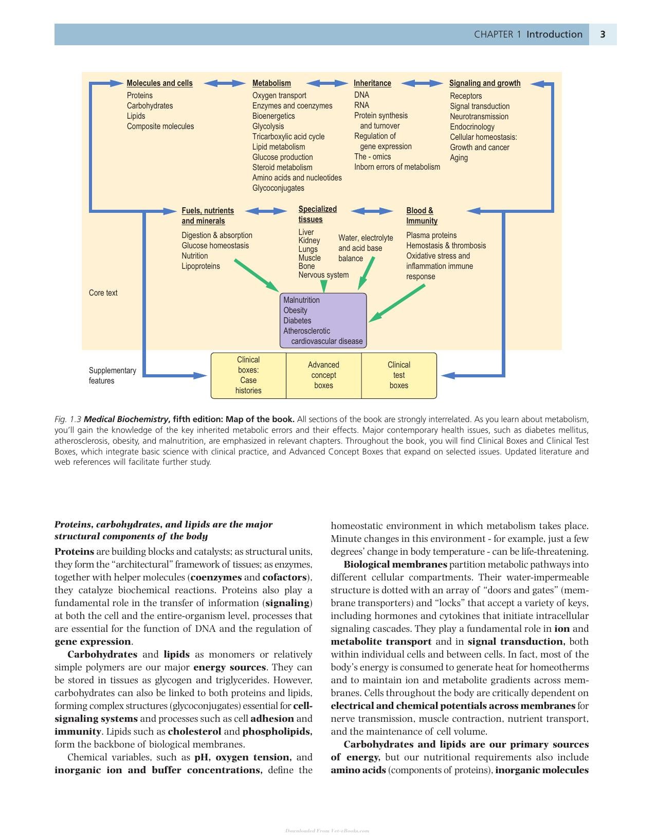 Medical Biochemistry Baynes 5Th Edition