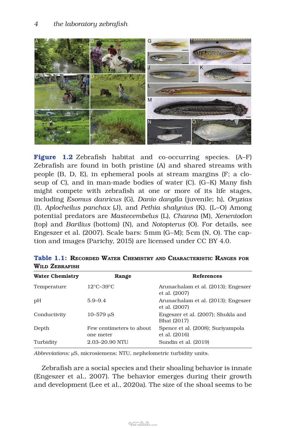 The Laboratory Zebrafish