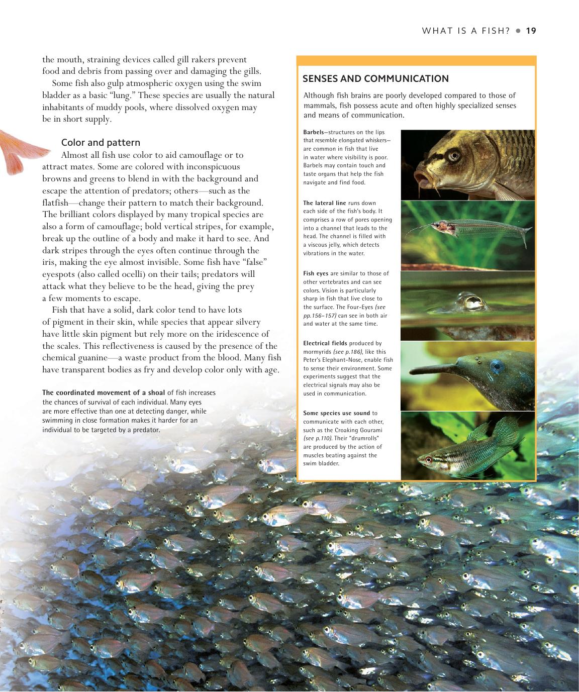 Encyclopedia Of Aquarium And Pond Fish