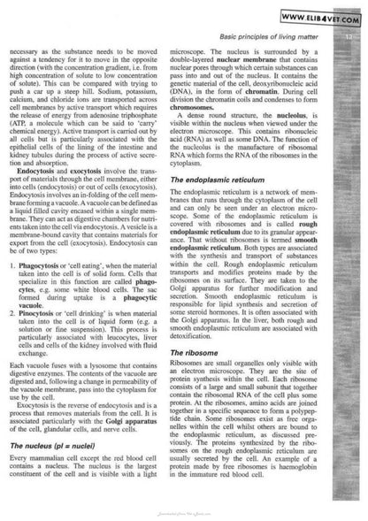 Veterinary Physiology and Applied Anatomy a Textbook for Veterinary Nurses and Technicians