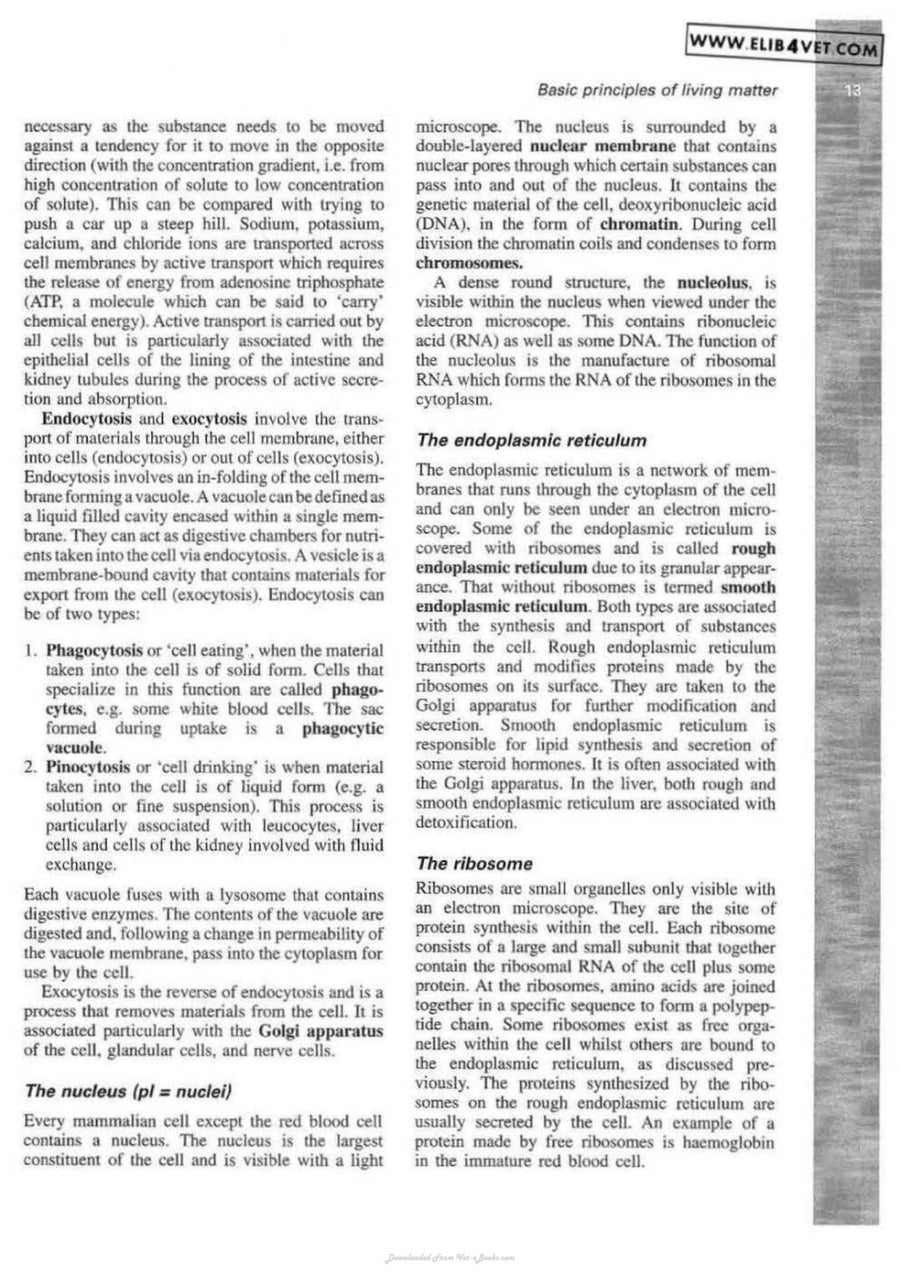 Preview page of Veterinary Physiology and Applied Anatomy a Textbook for Veterinary Nurses and Technicians