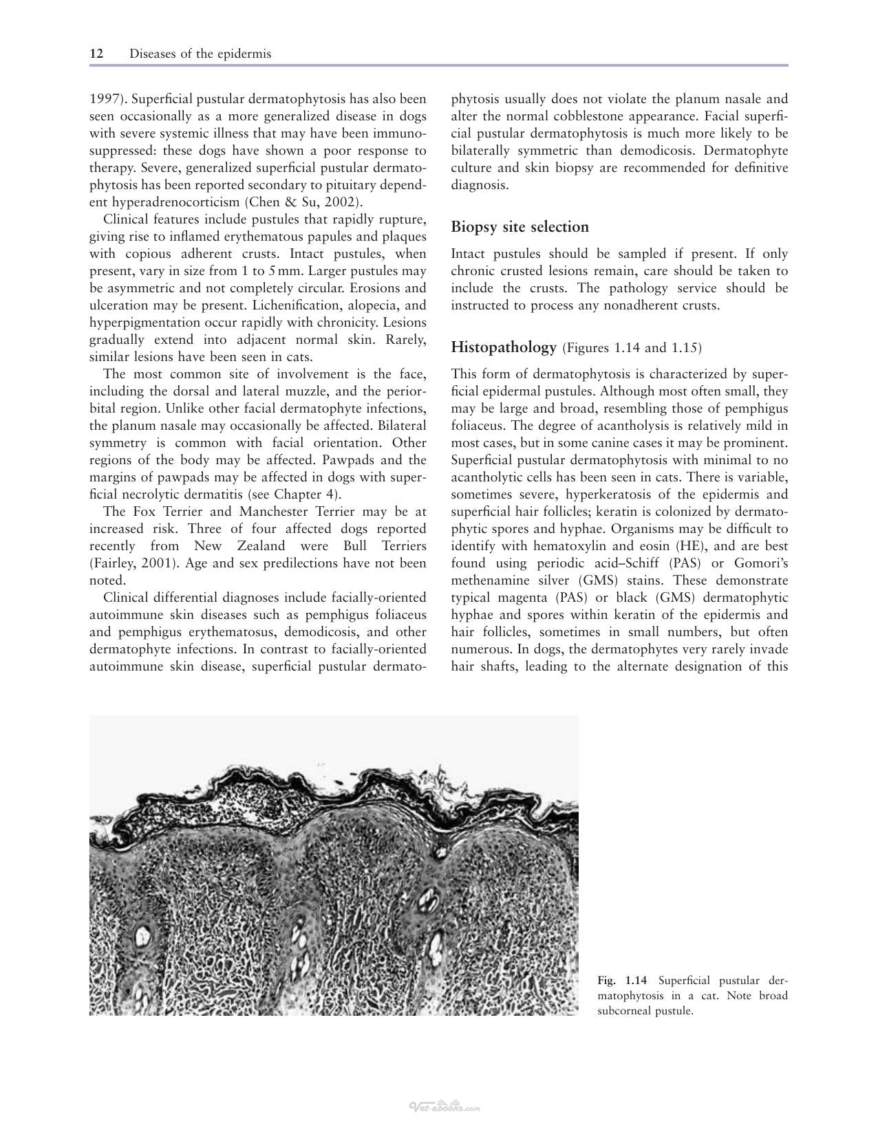 Look inside — page 21