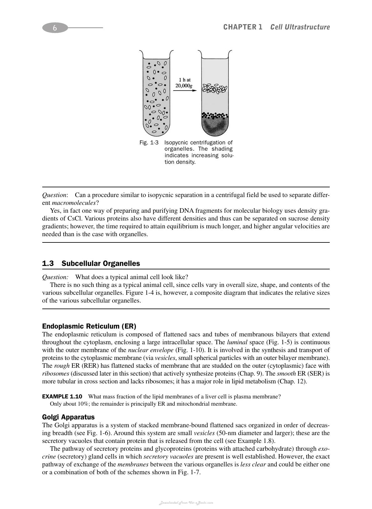Schaums Outline Of Biochemistry 3Rd Edition