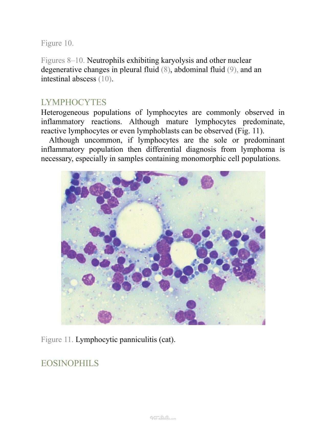 Atlas Of Diagnostic Cytology In Small Animals