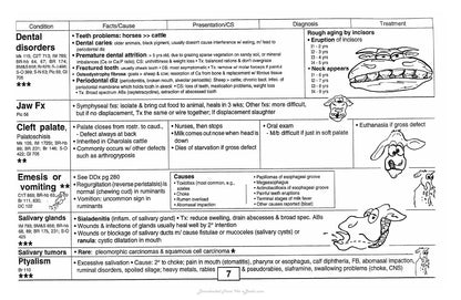 Guide to Bovine Clinics 4th Edition