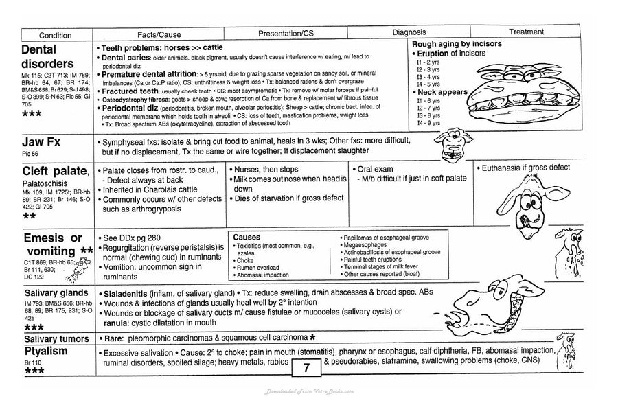 Preview page of Guide to Bovine Clinics 4th Edition
