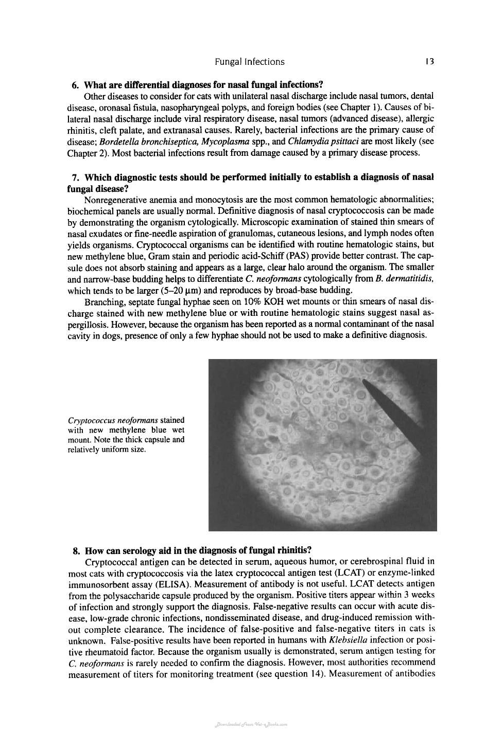 Look inside — page 21