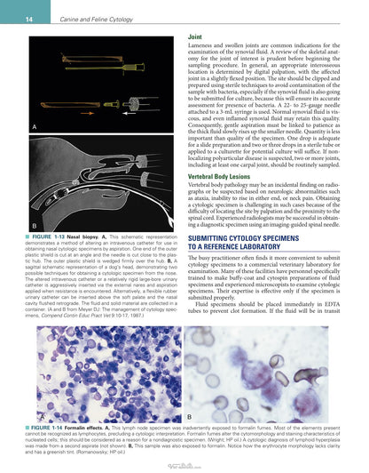 Canine and Feline Cytology a Color Atlas and Interpretation Guide 3rd Edition