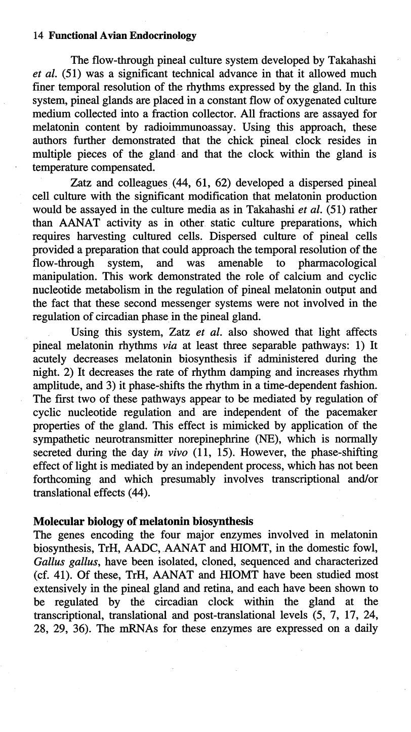 Preview page of Functional Avian Endocrinology