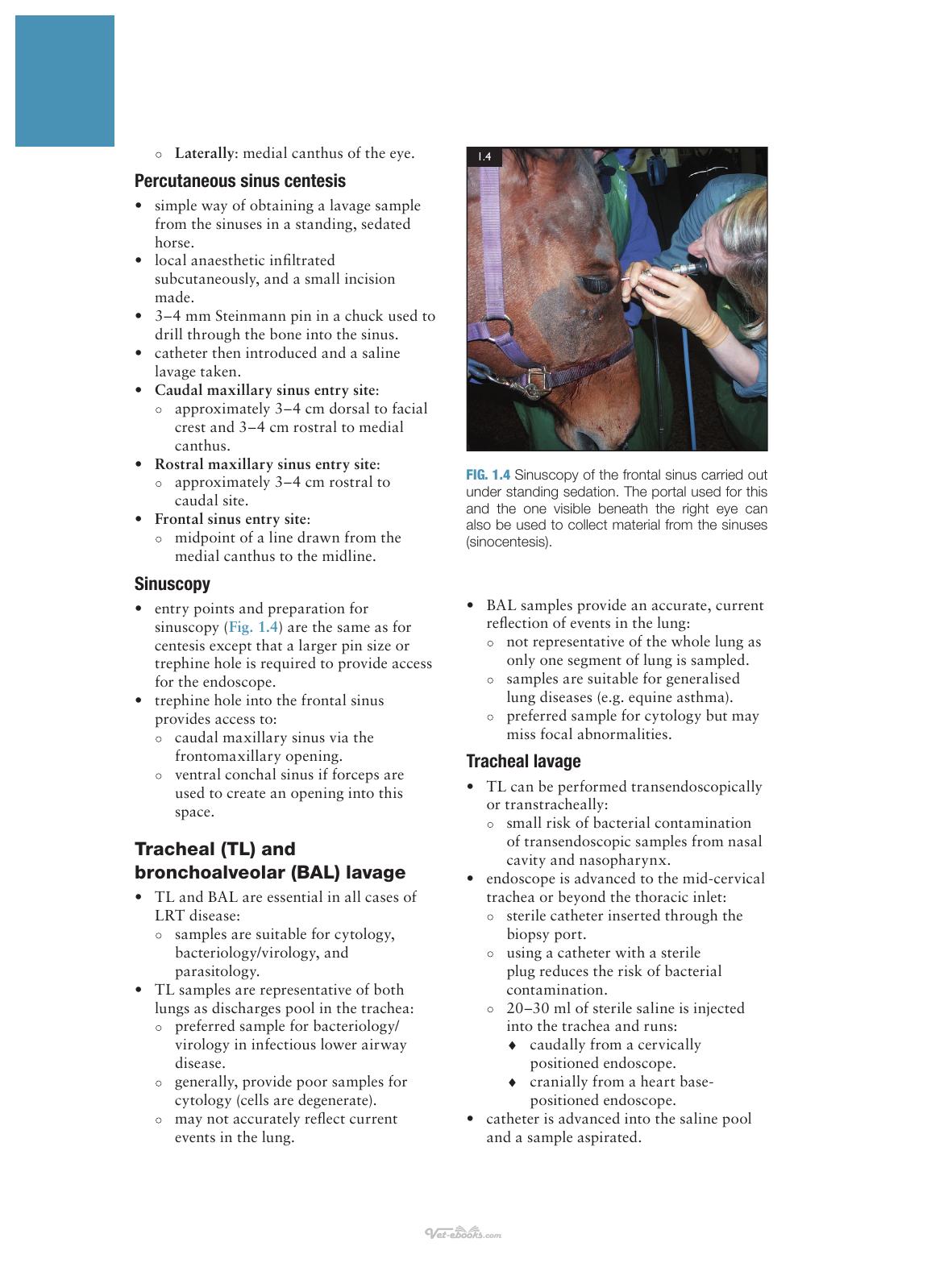 Concise Textbook Of Equine Clinical Practice Book 3 Respiratory And Gastrointestinal Diseases