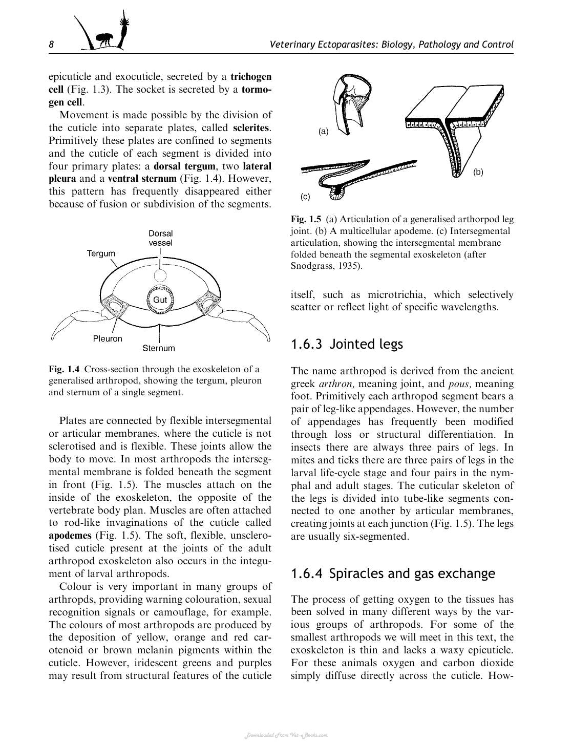 Look inside — page 21