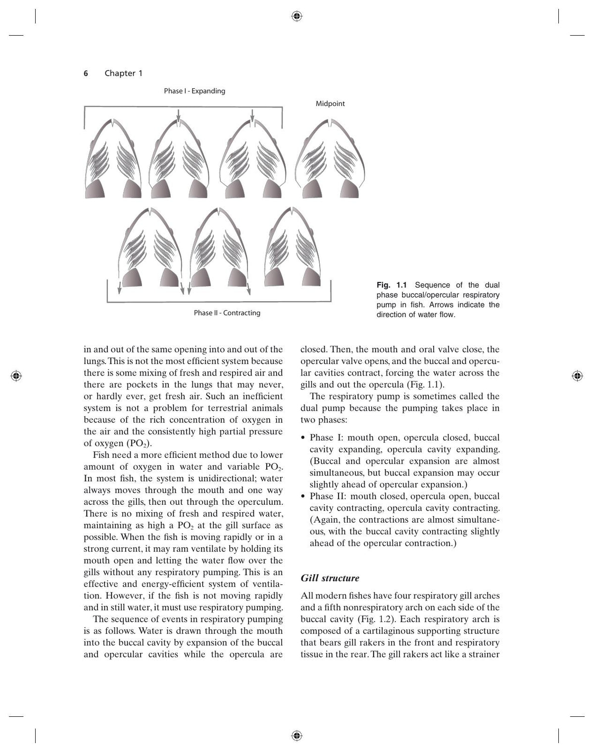 Fundamentals of Ornamental Fish Health