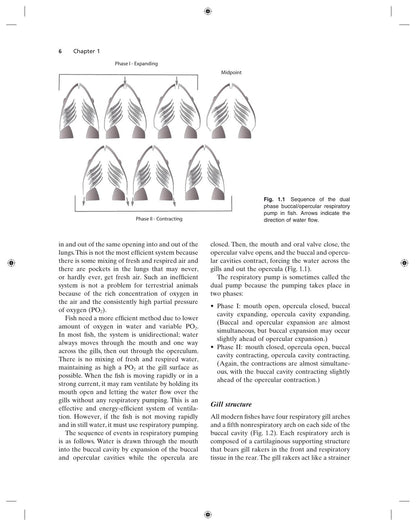 Fundamentals of Ornamental Fish Health
