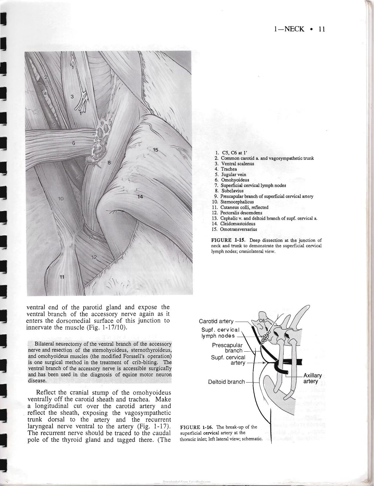 Look inside — page 21