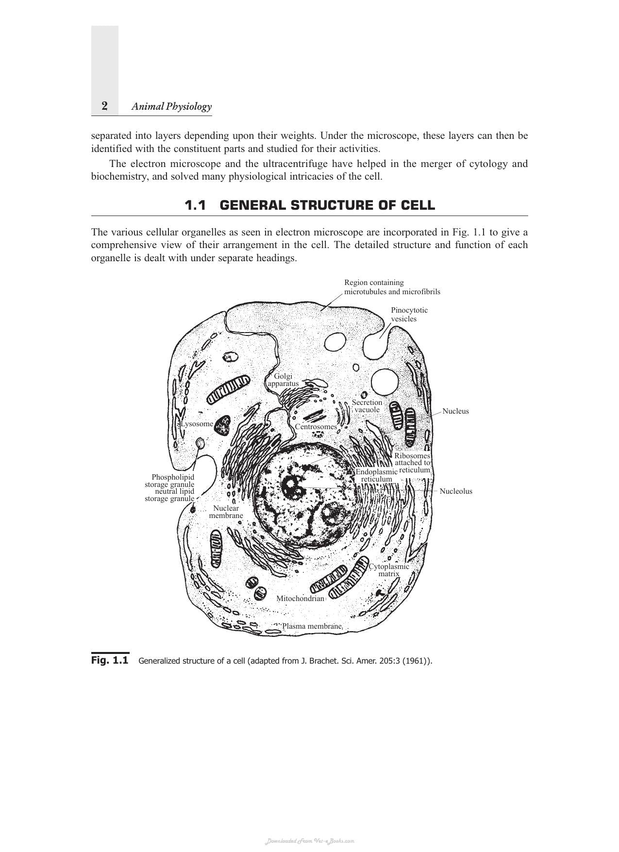Look inside — page 21