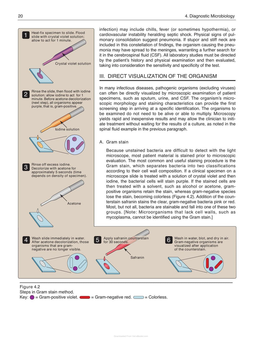 Preview page of Lippincotts Illustrated Reviews Microbiology 3rd Edition