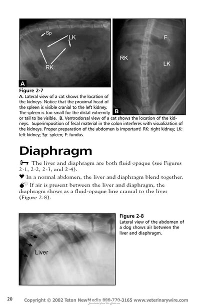 Look inside — page 21