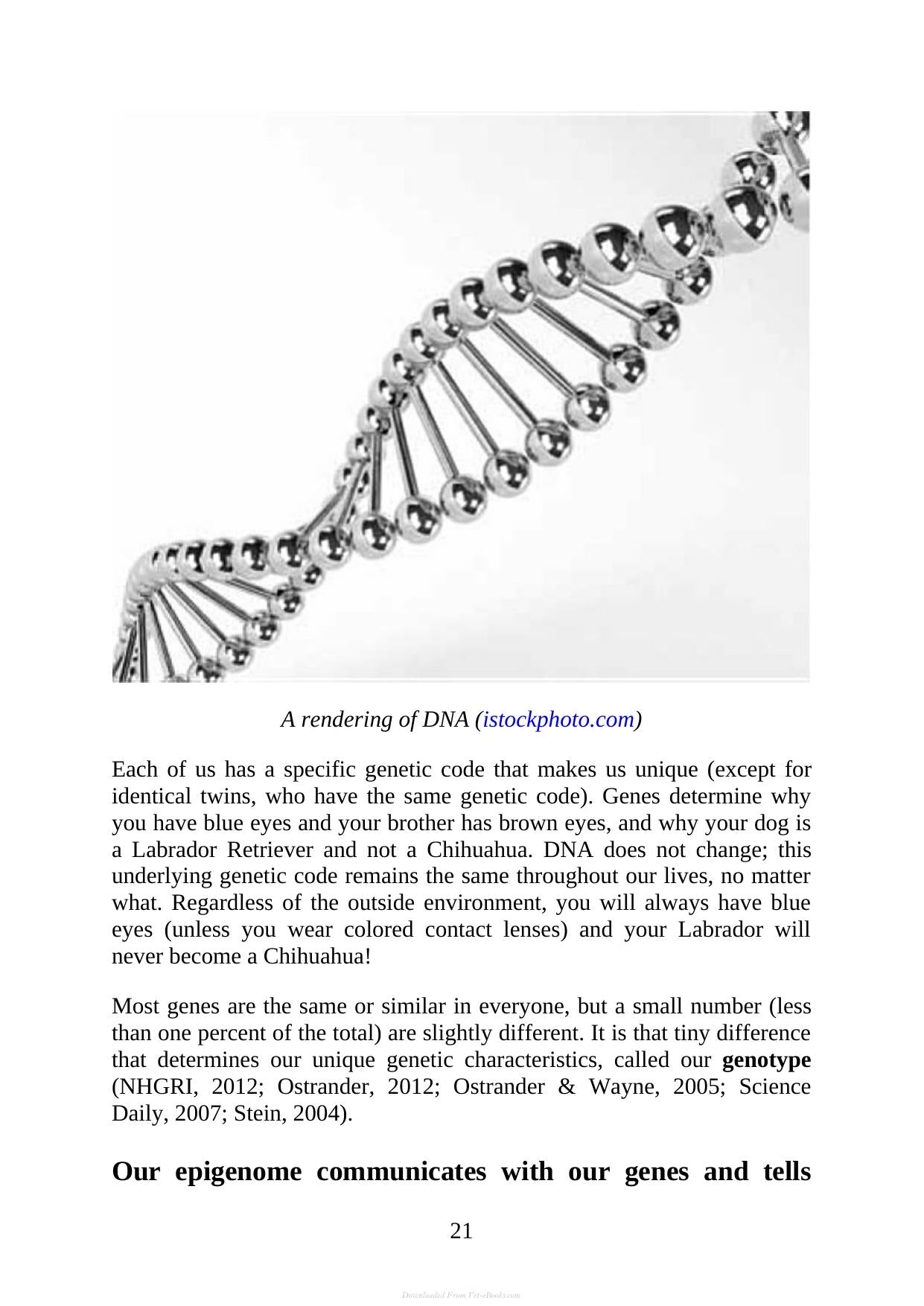 Canine Nutrigenomics The New Science Of Feeding Your Dog For Optimum Health