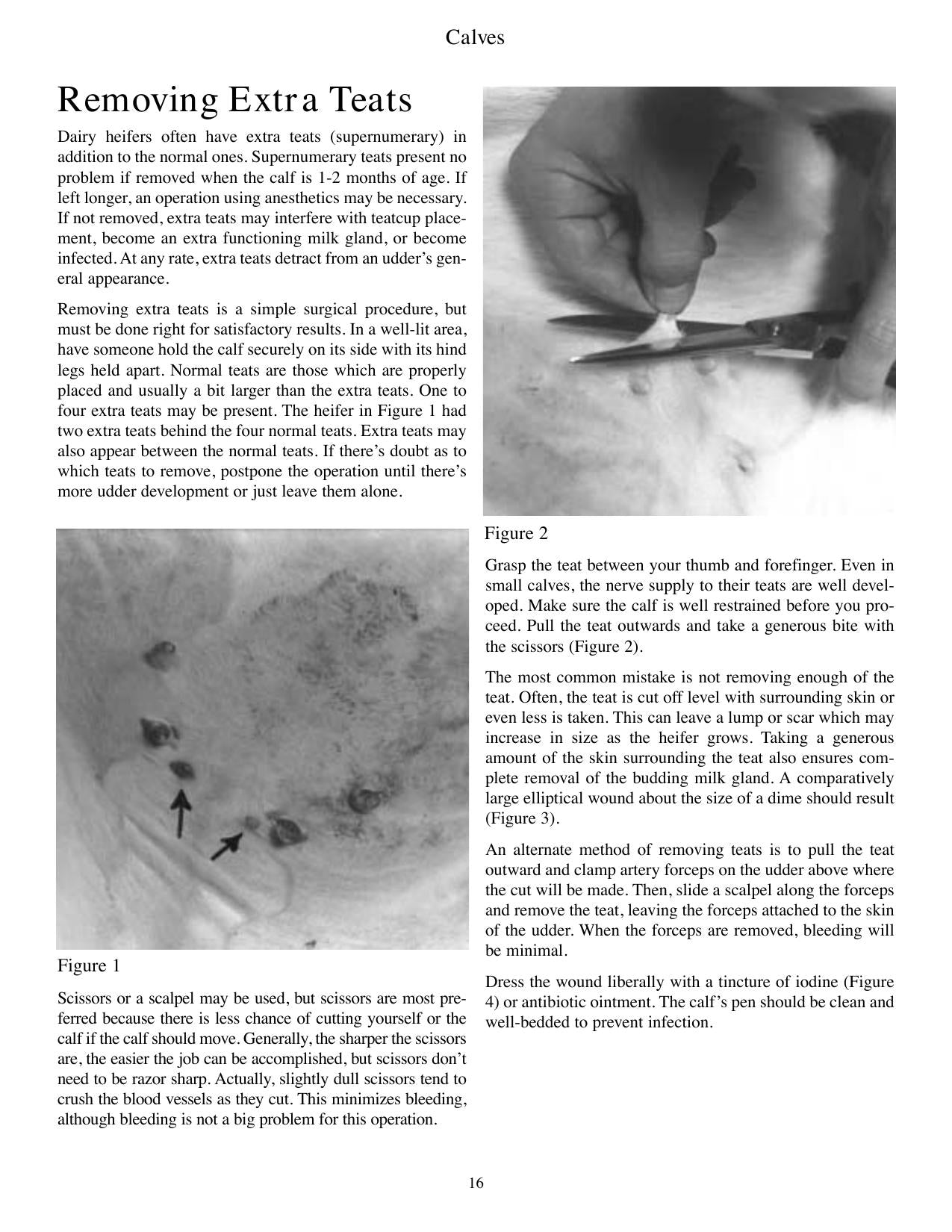 Look inside — page 21