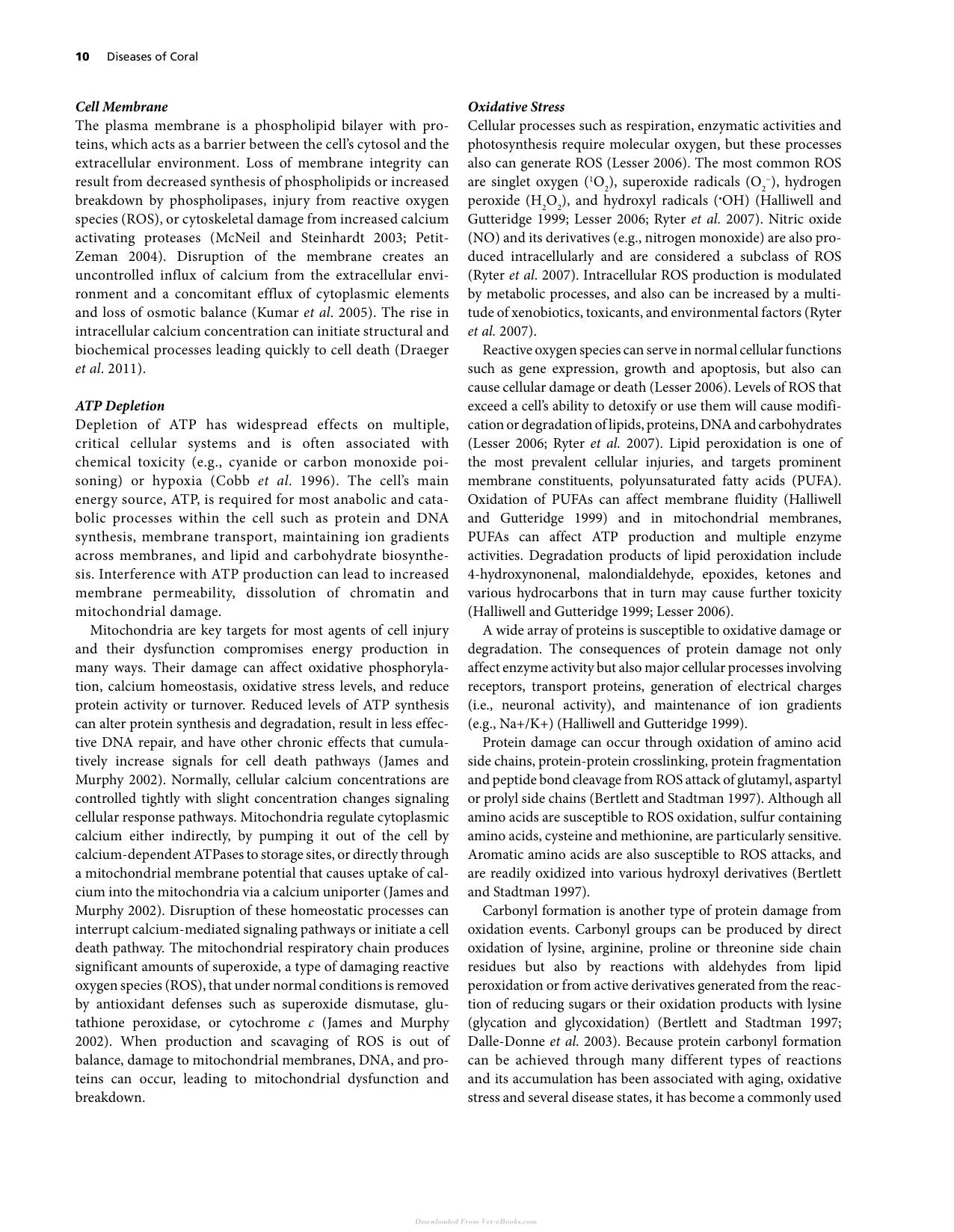 Diseases Of Coral