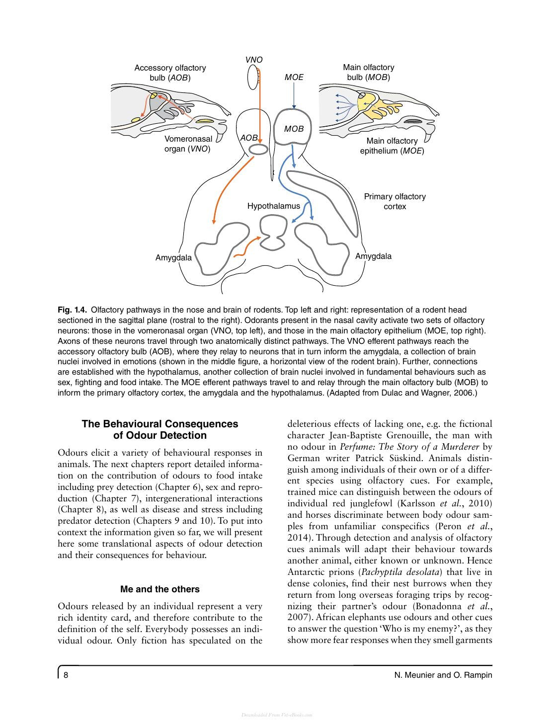 Olfaction In Animal Behaviour And Welfare