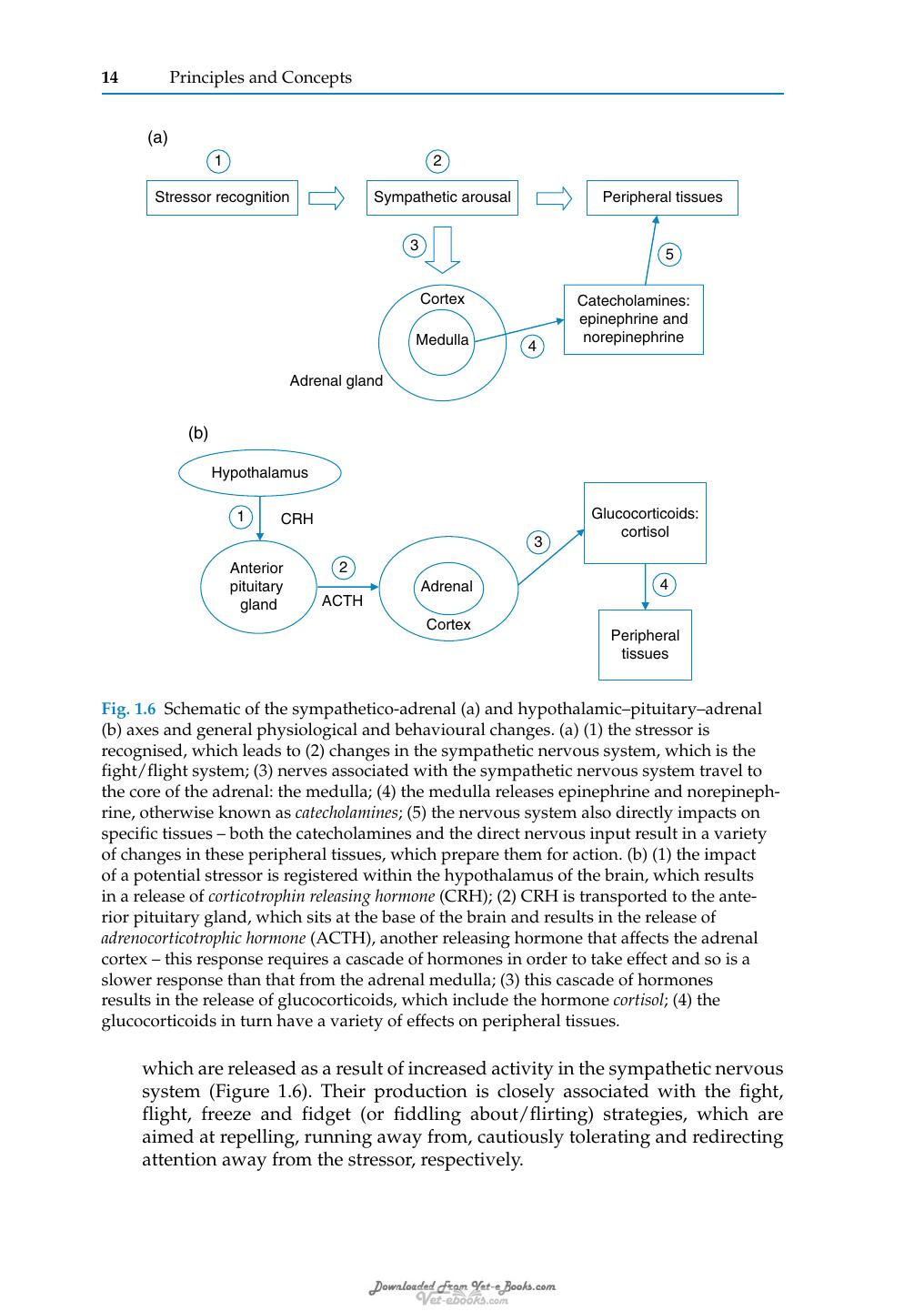Stress And Pheromonatherapy In Small Animal Clinical Behaviour