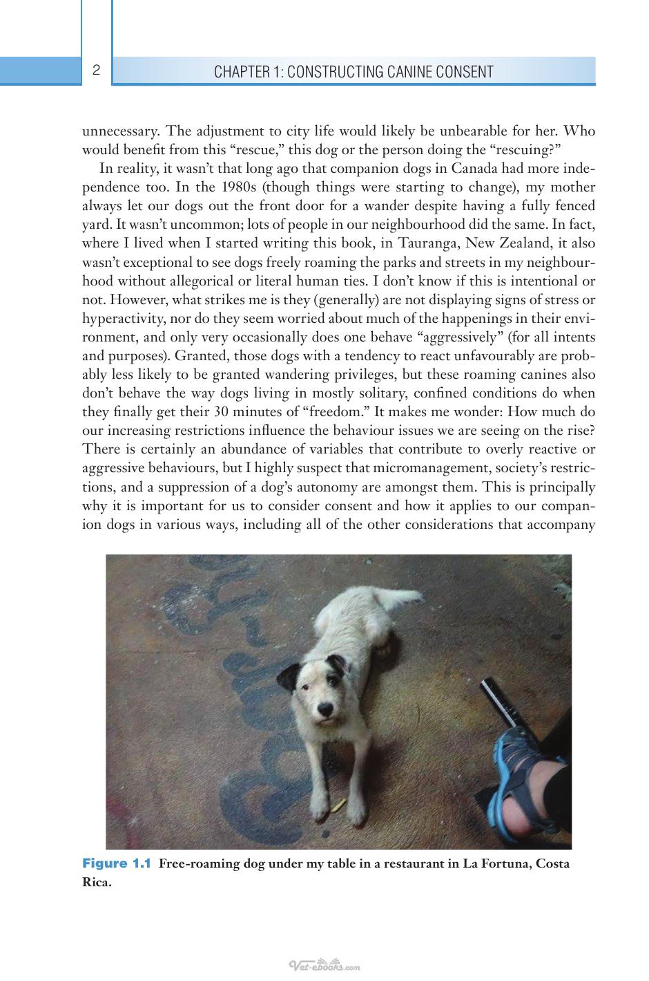 Look inside — page 21