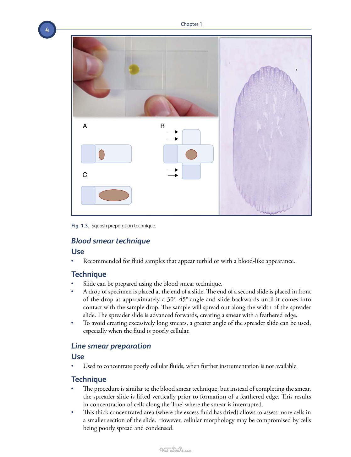Differential Diagnosis Of Body Fluids In Small Animal Cytology