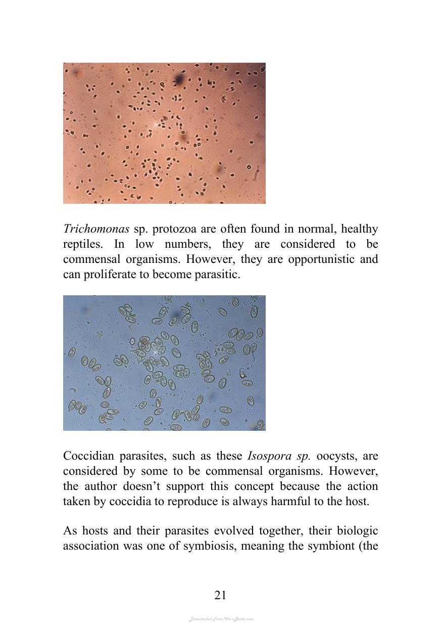 Look inside — page 21