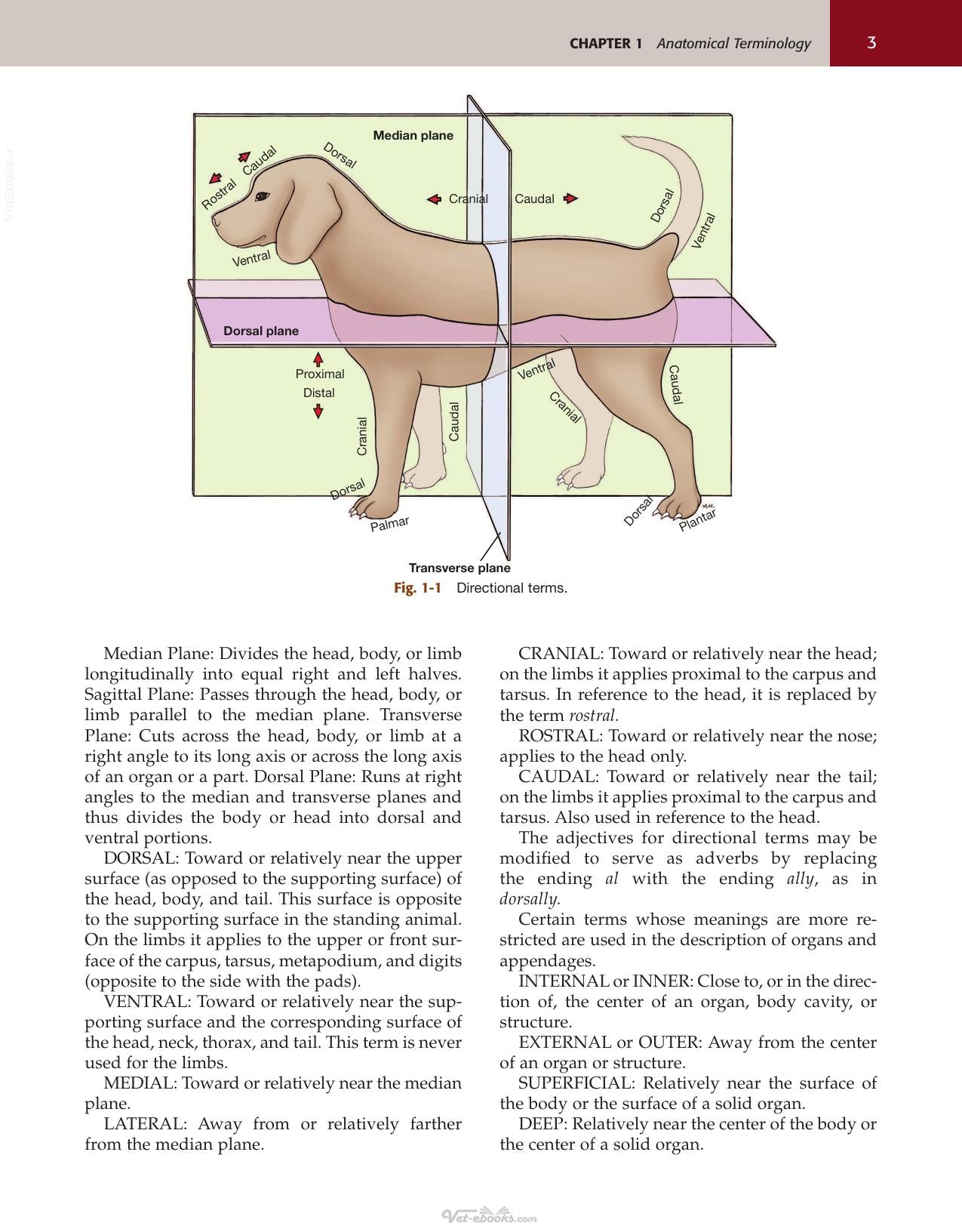 Look inside — page 21