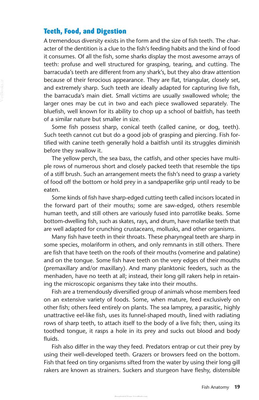 Look inside — page 21