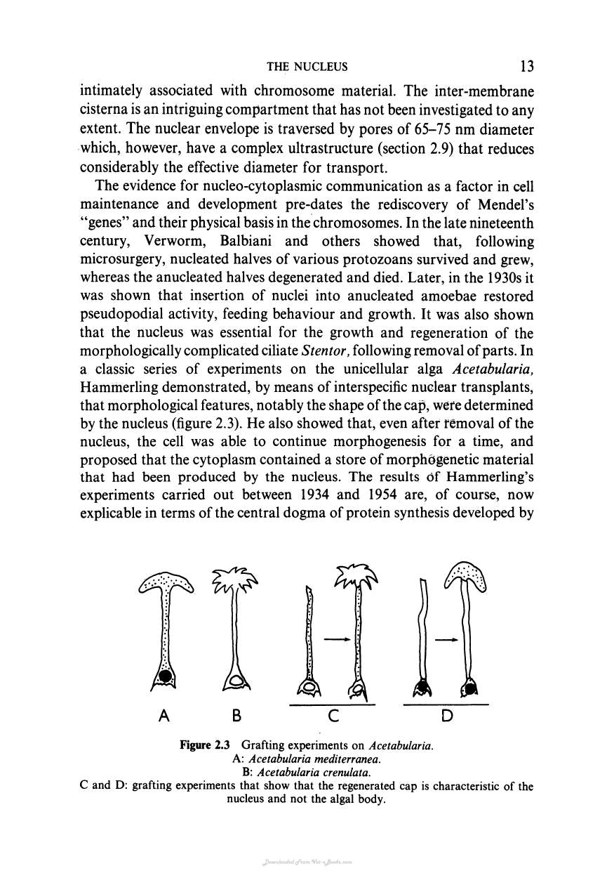 Biochemistry And Structure Of Cell Organelle