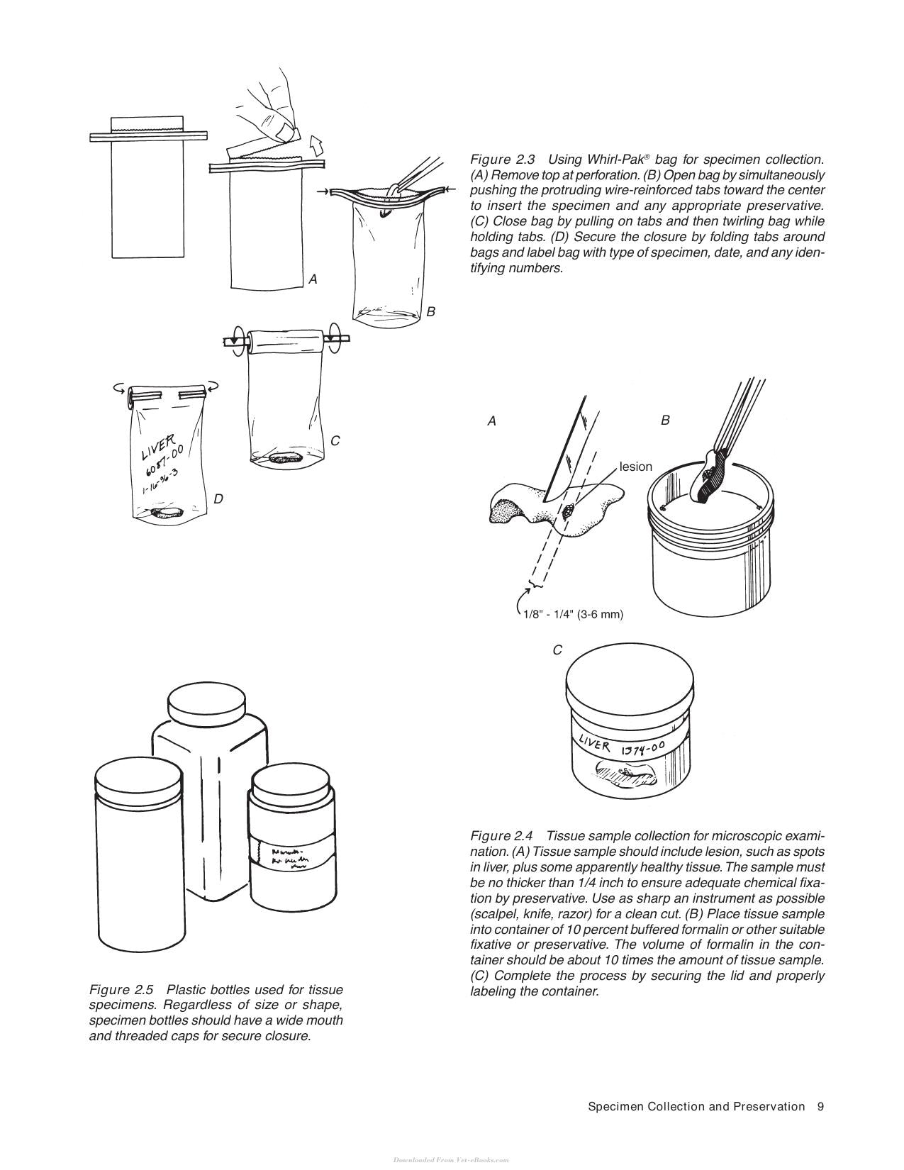 Look inside — page 21