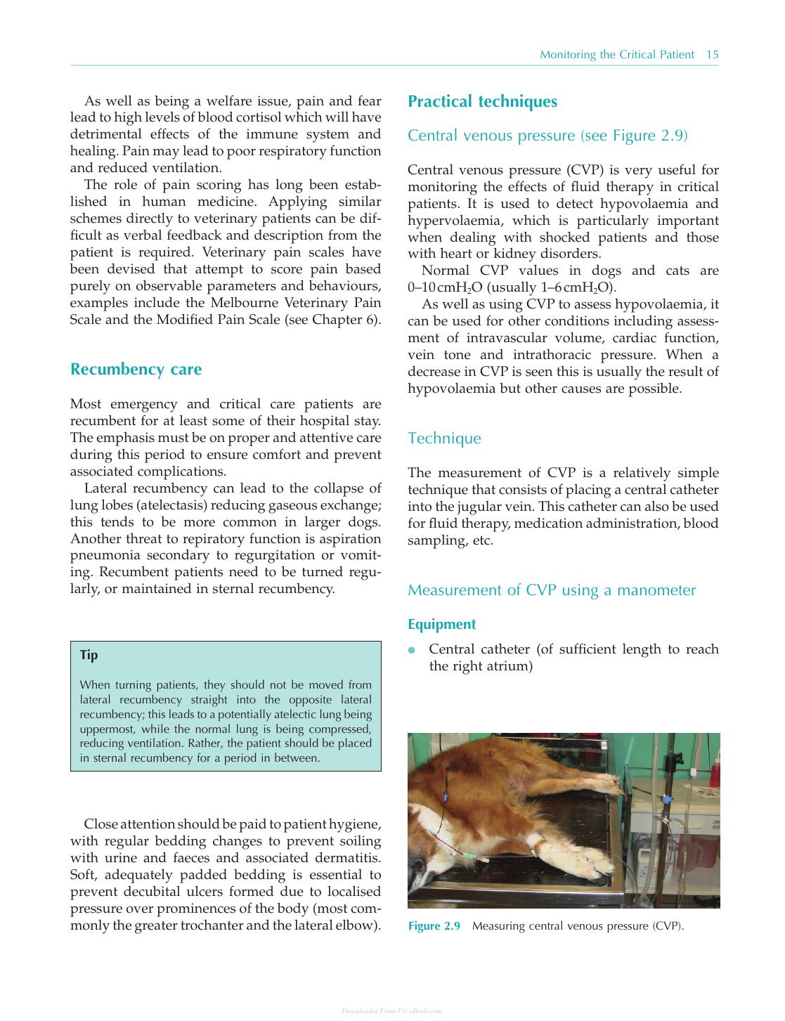 Practical Emergency And Critical Care Veterinary Nursing
