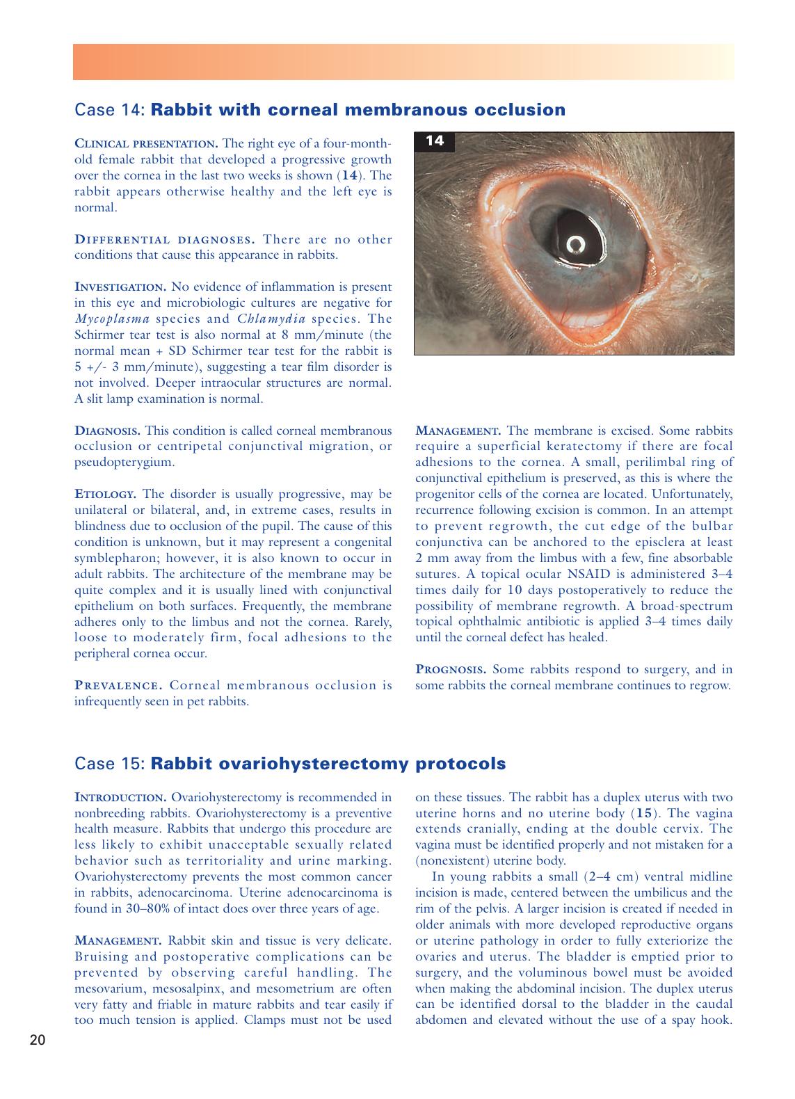 Look inside — page 21