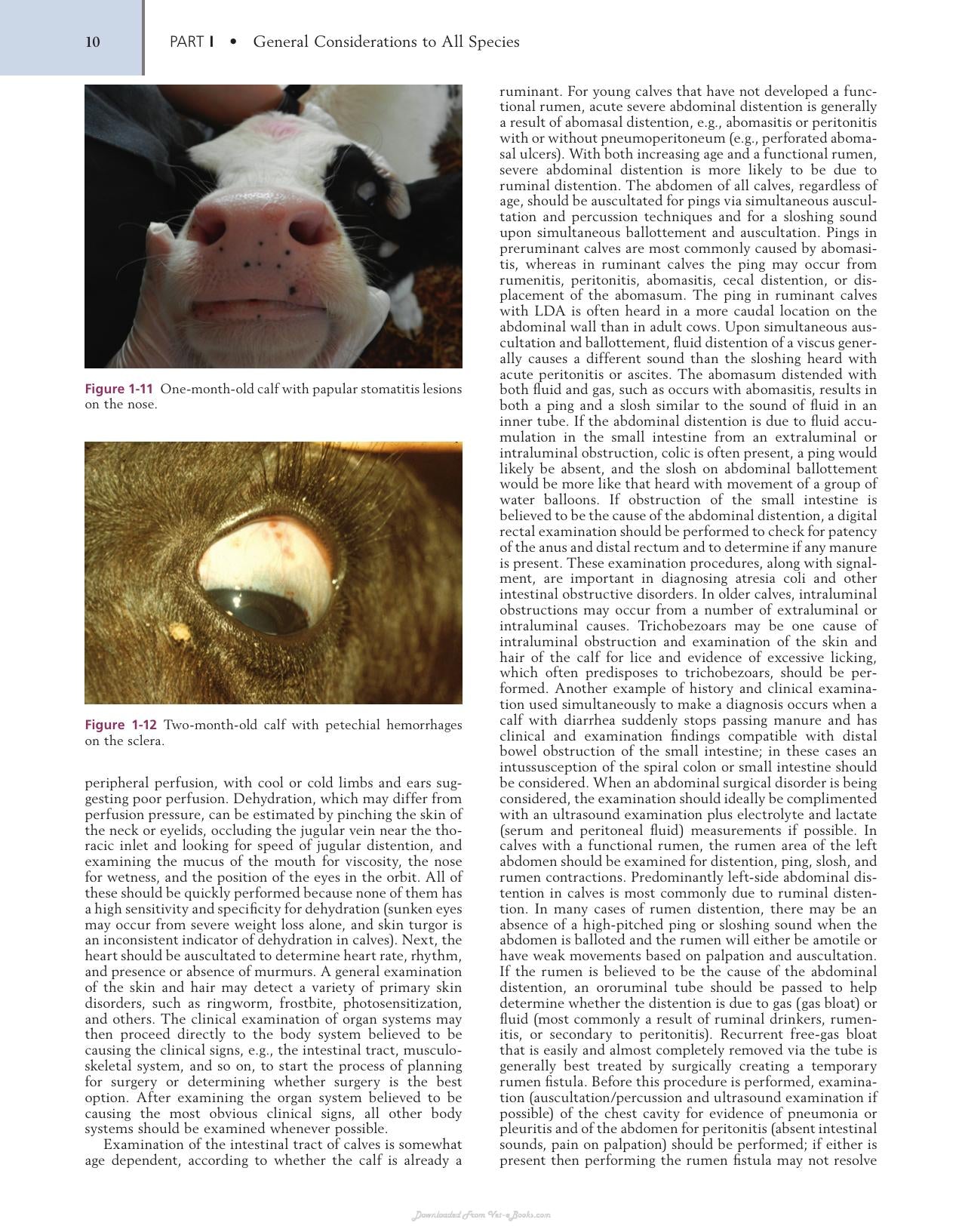 Farm Animal Surgery 2Nd Edition