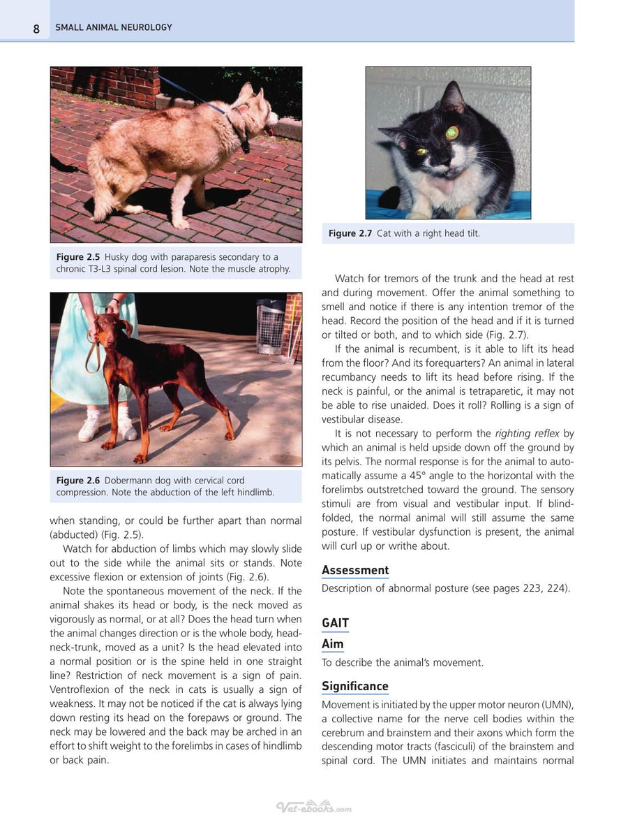 Preview page of Saunders Solutions Veterinary Practice Small Animal Neurology