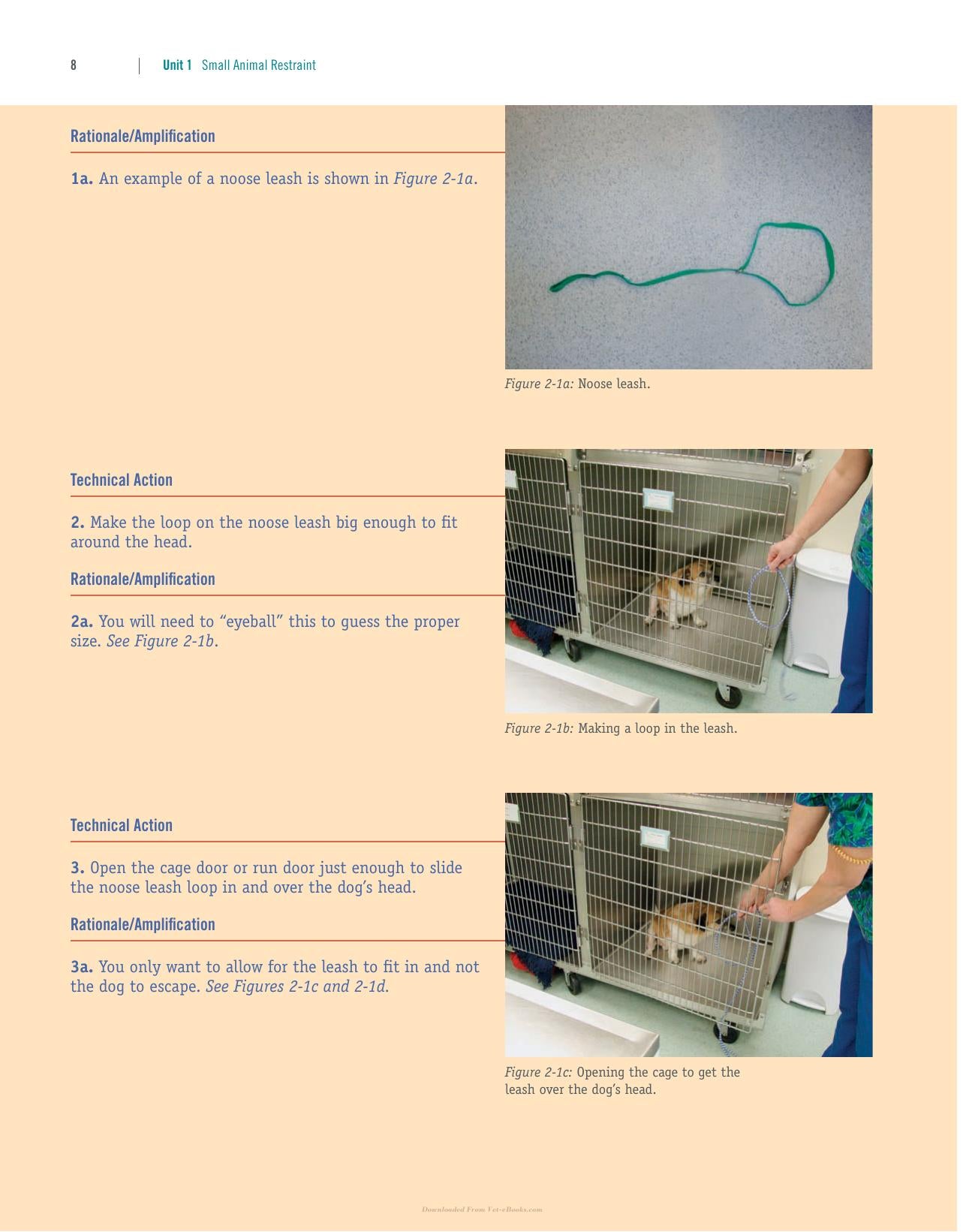 Look inside — page 21