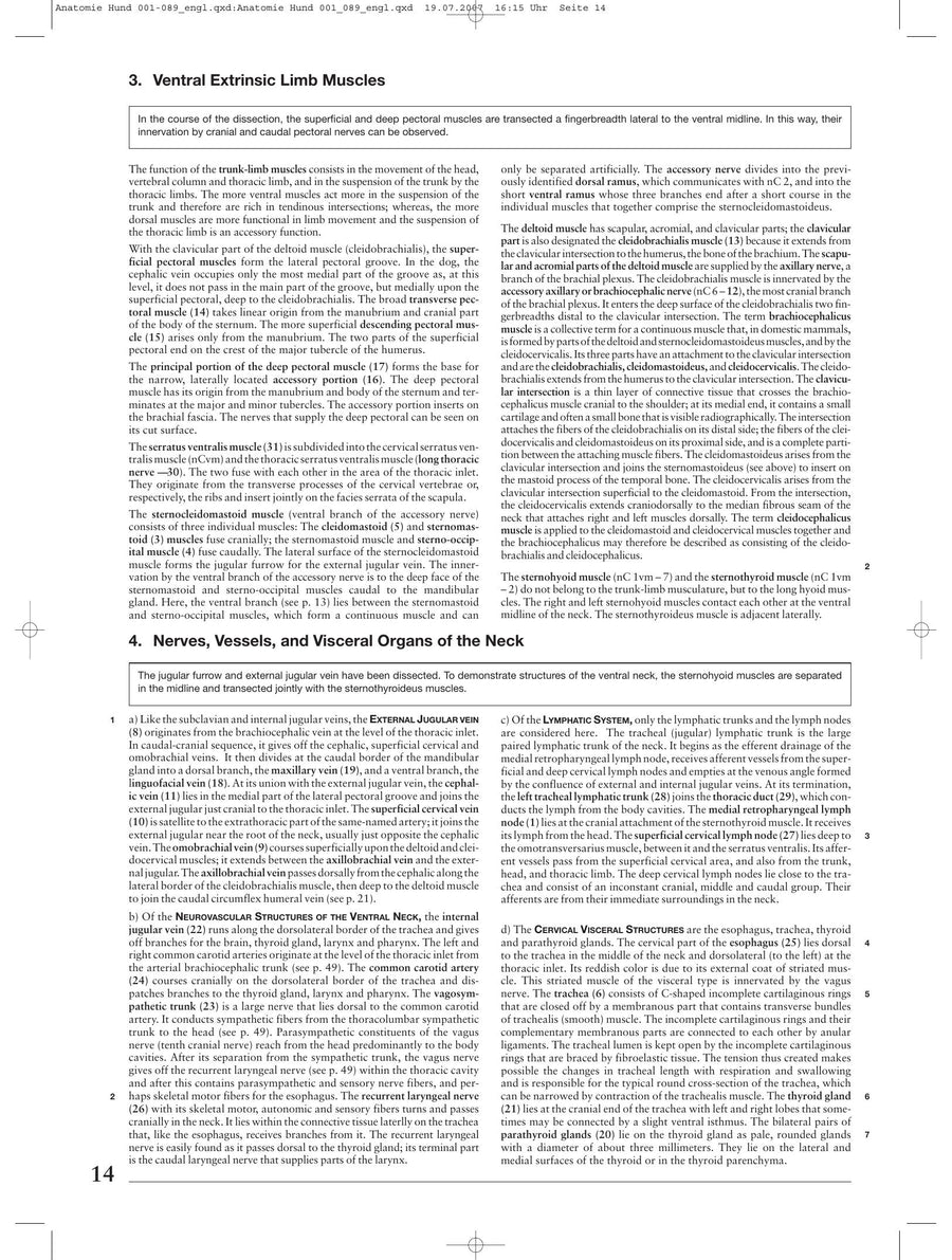 Preview page of Anatomy of the Dog (Budras)